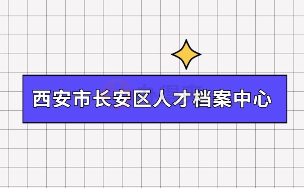 人才档案