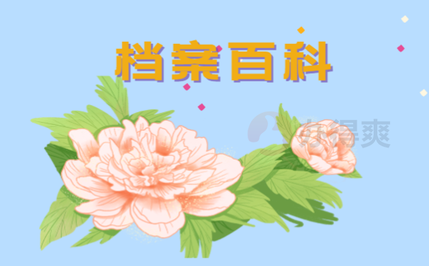 档案百科
