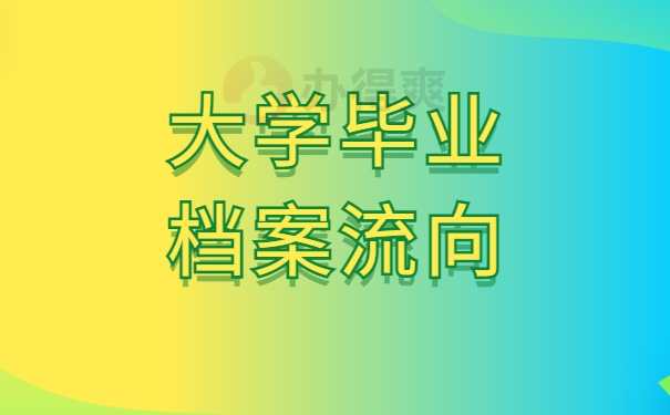 大学毕业档案流向