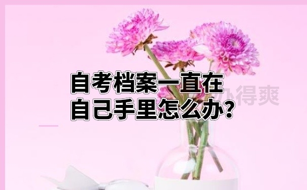 档案在自己手里