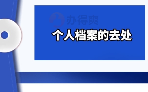 档案查询
