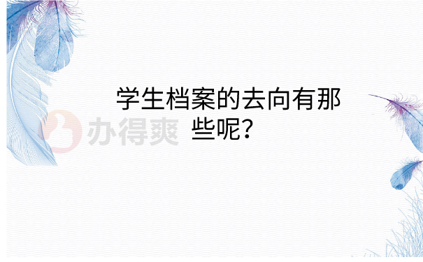 档案查询