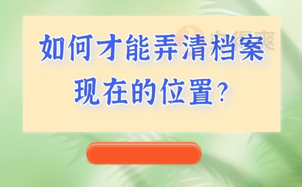 怎么查询档案