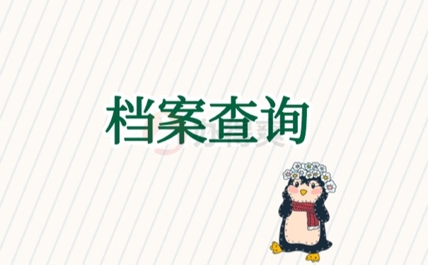 档案查询