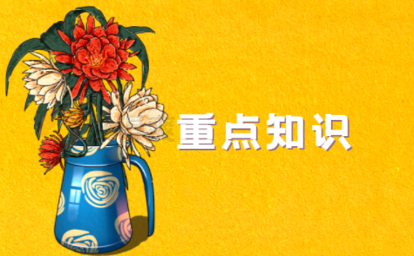 重点知识