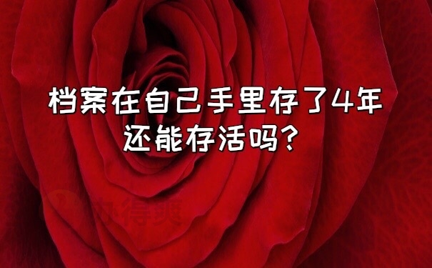 档案在自己手里