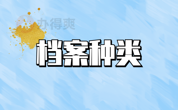 档案种类