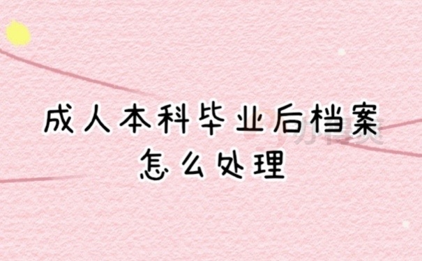 本科档案