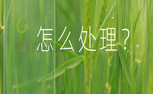 怎么处理