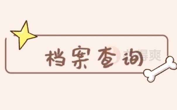 档案查询