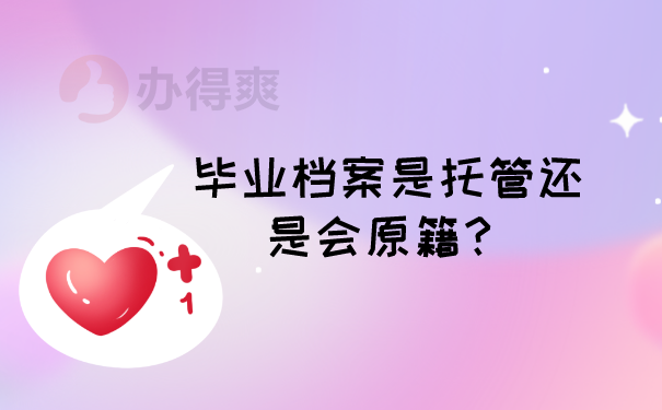 档案托管