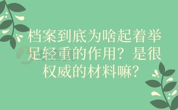 档案到底为啥起着举足轻重的作用？是很权威的材料嘛？