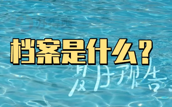 档案是什么
