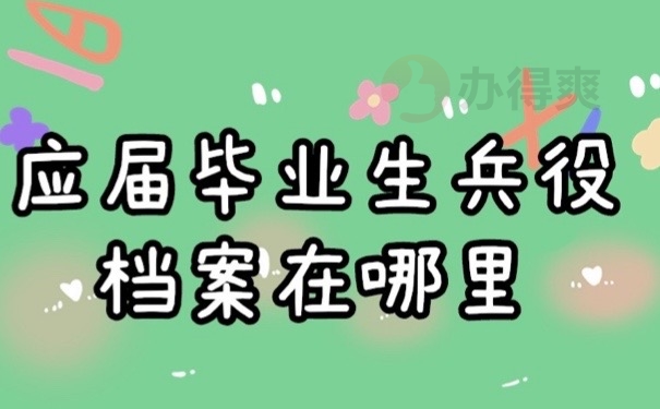 个人档案