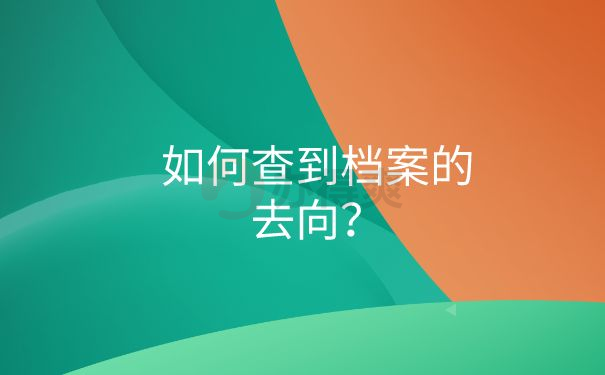 档案去向查询