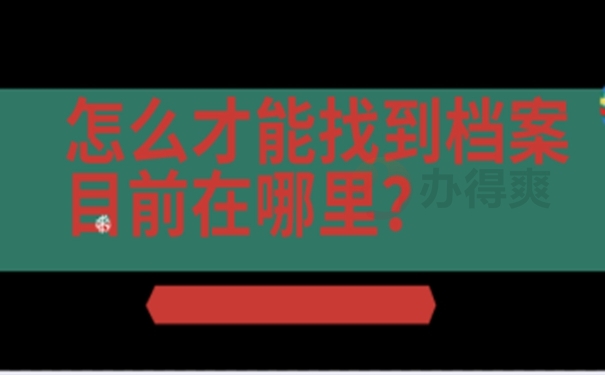 要去哪里查询档案？