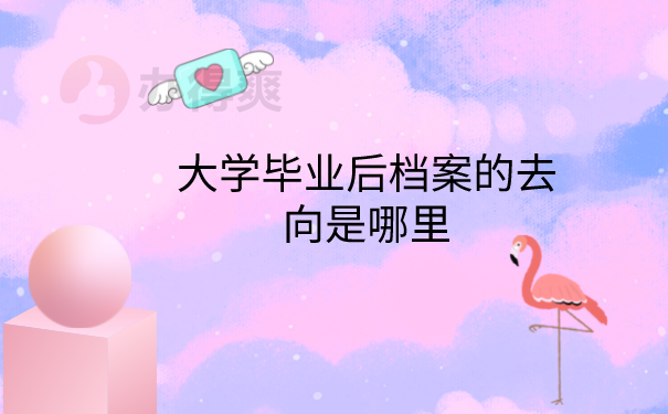 档案的去向