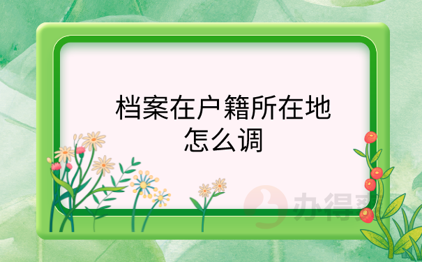 档案怎么调