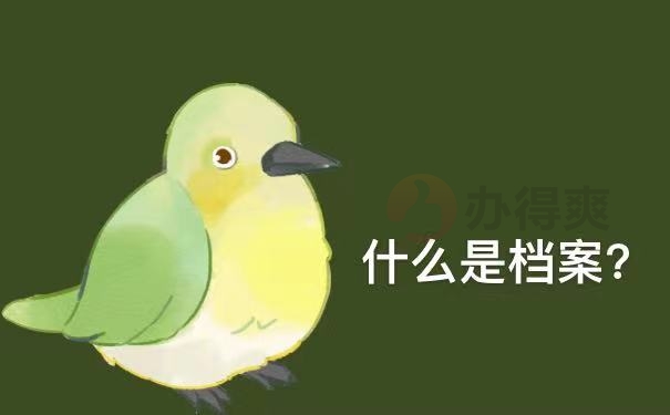 什么是档案