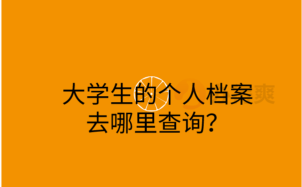 大学生的个人档案去哪里查询？