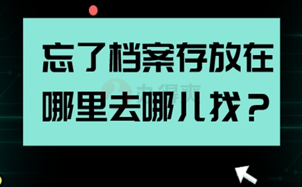 档案的具体查询步骤：