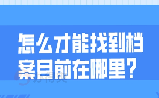 档案怎么查询