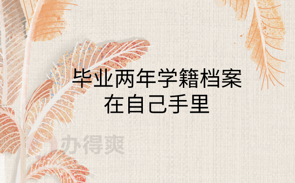档案在自己手里