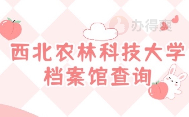 大学档案