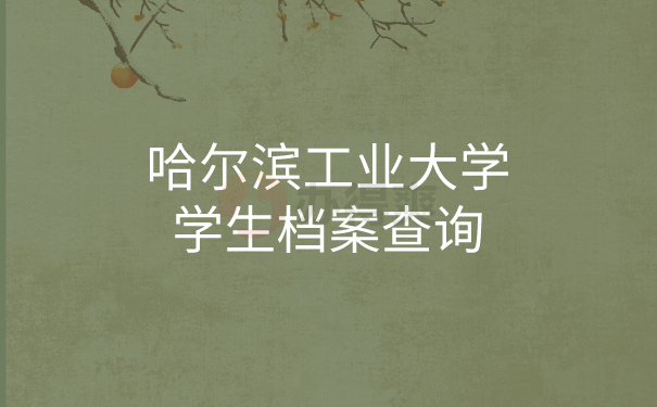 档案查询