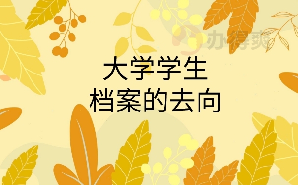 档案去向查询