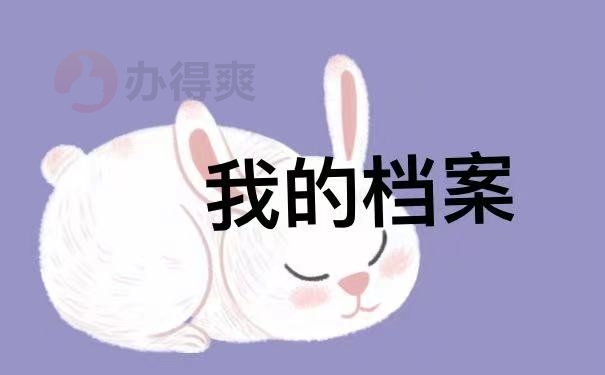 个人档案