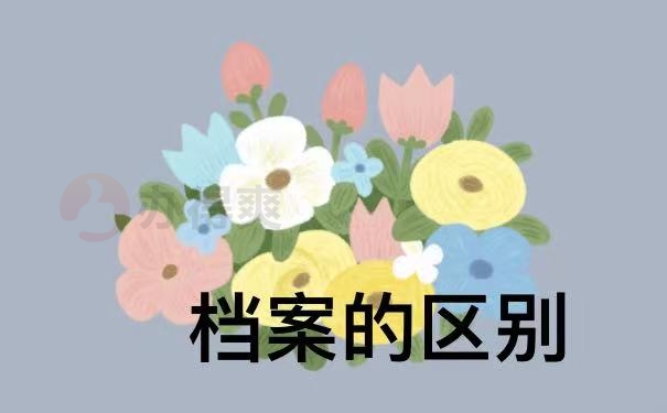 档案区别