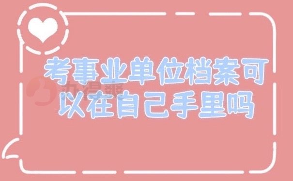 档案在手