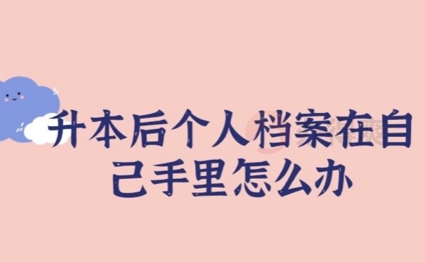 升本档案