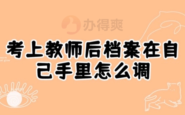 教师档案