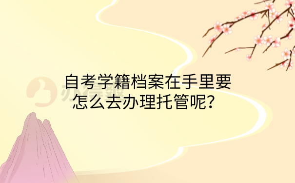 档案托管
