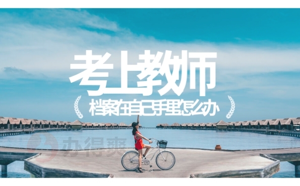 教师档案