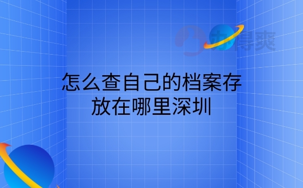 档案查询