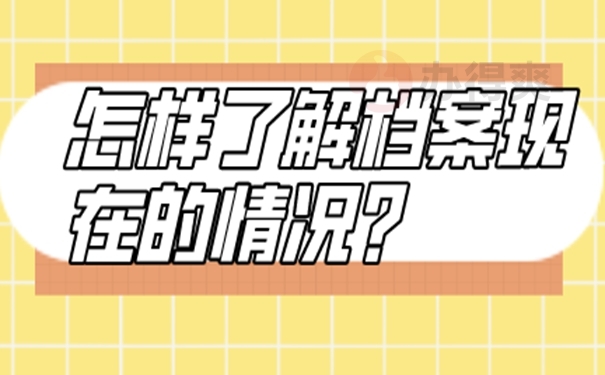 个人档案的具体查询流程是啥？