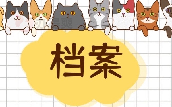 档案