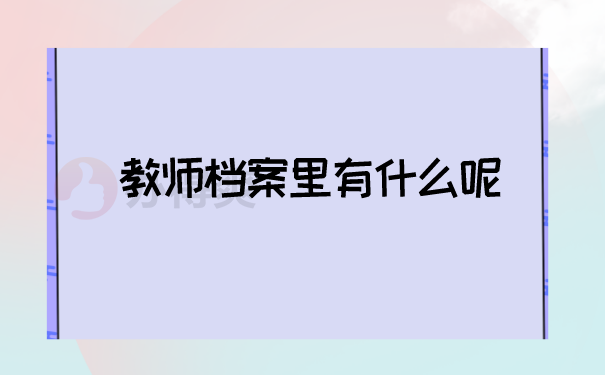 教师档案