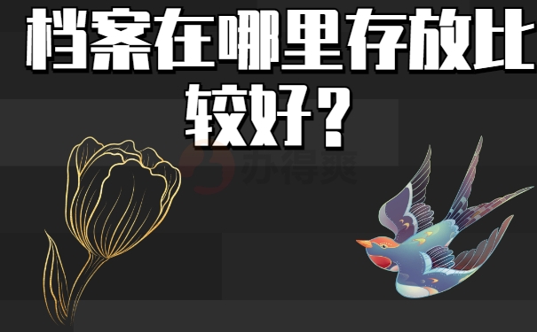 档案在哪里存放比较好？