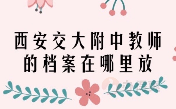 教师档案