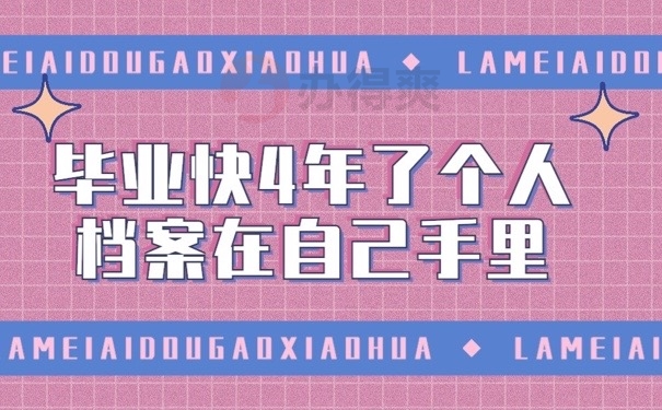 档案在手
