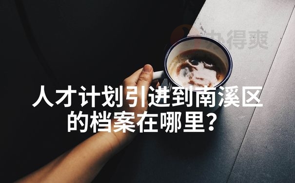 人才计划引进到南溪区的档案在哪里？