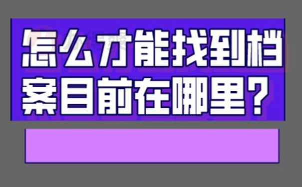 档案查询的必要性？