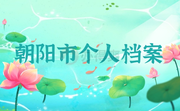 朝阳市个人档案
