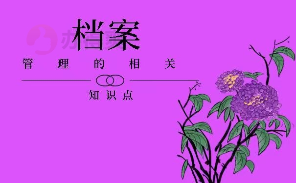 档案管理的相关知识点