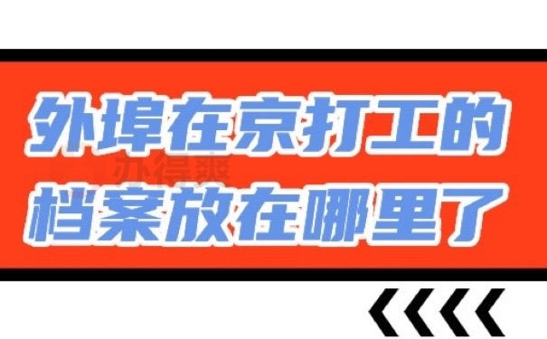 档案在哪
