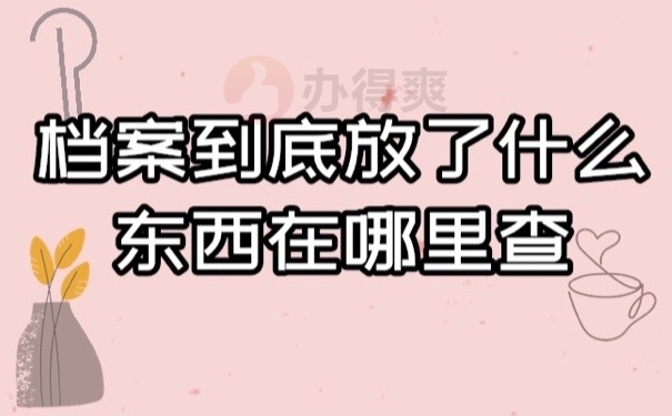 哪里查档